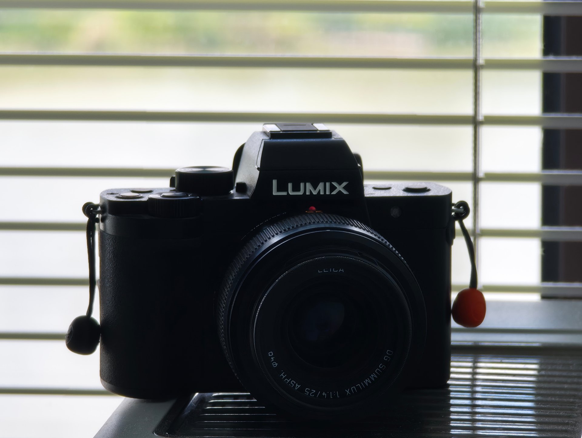 LUMIX G100D